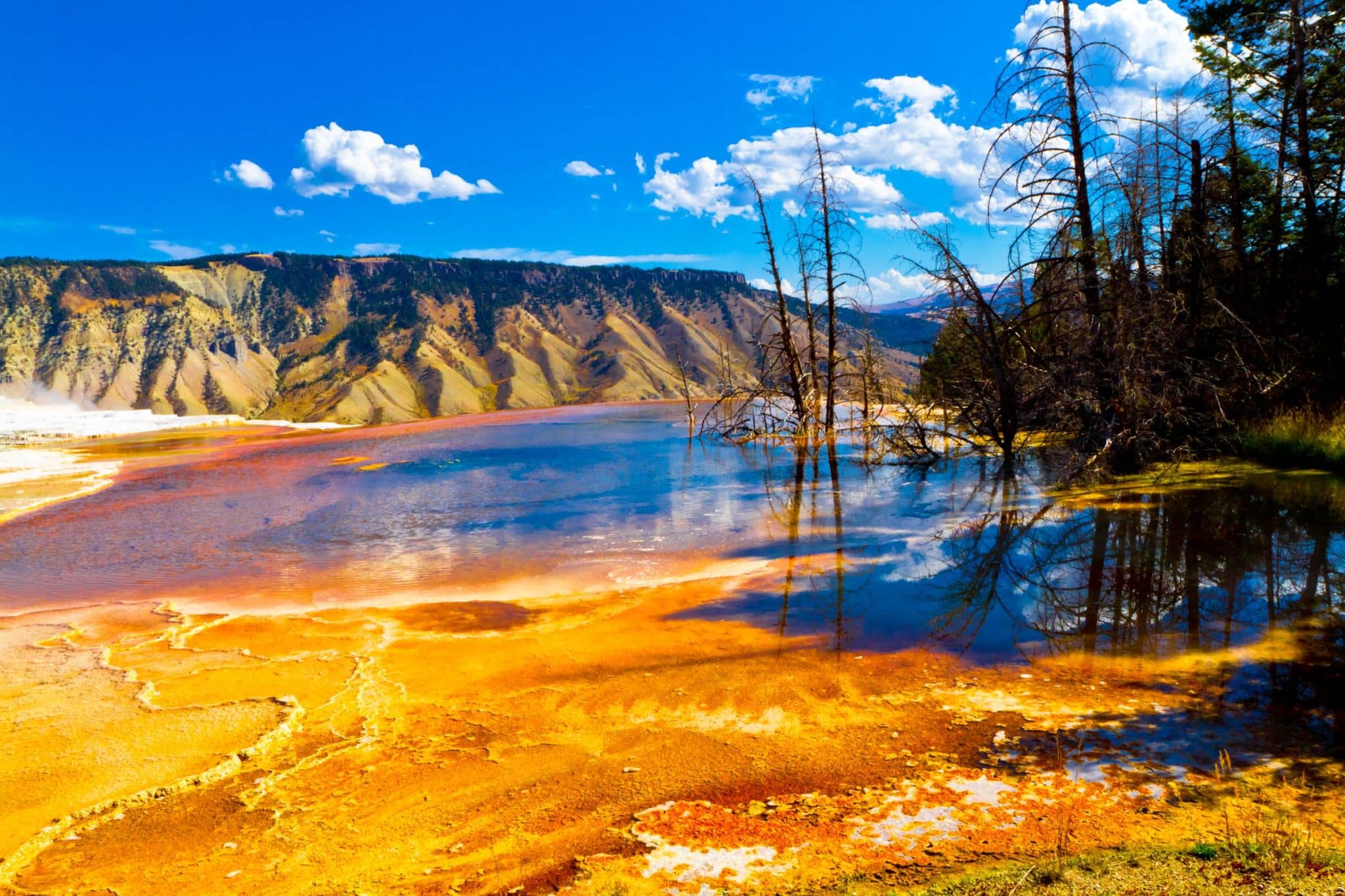 Yellowstone National Park To Celebrate 150th Anniversary With Series Of 