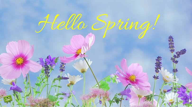 hello spring image new