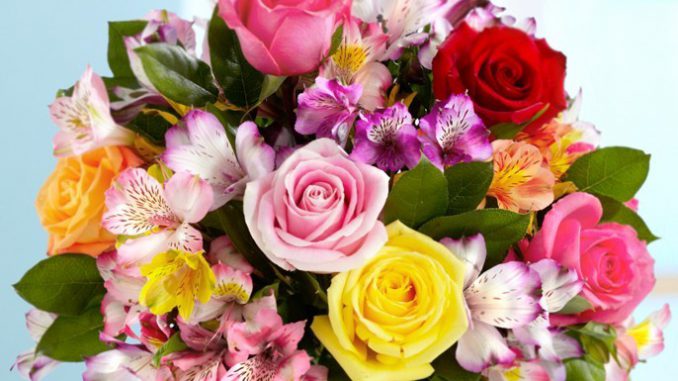 flowers fő