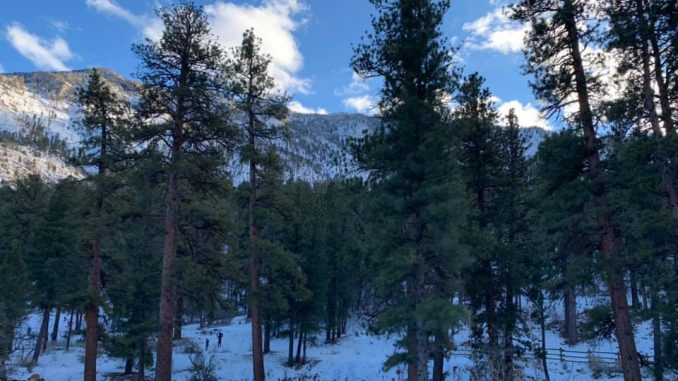 Mt Charleston cover photo