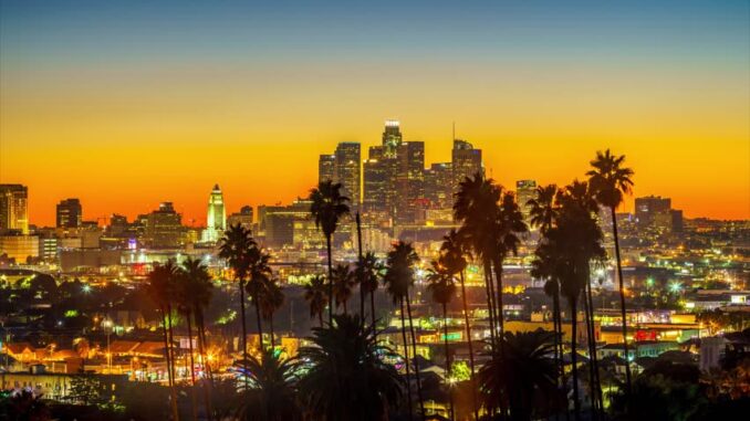 LA Palm trees