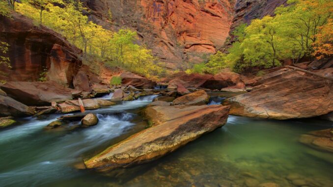 Zion national park